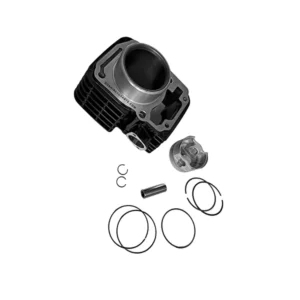 CYLINDER PISTON KIT FOR UNICORN BLACK - D04332