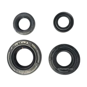 OIL SEAL KIT FOR UNICORN/SHINE - D04777