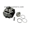 CYLINDER PISTON KIT FOR PASSION PRO(BK) -D06190