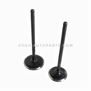 VALVE SET FOR PULSAR DIGITAL 200/220 -D06208